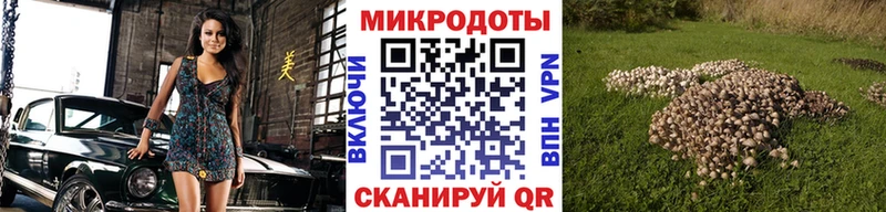 Псилоцибиновые грибы MAGIC MUSHROOMS  где можно купить   Волчанск 
